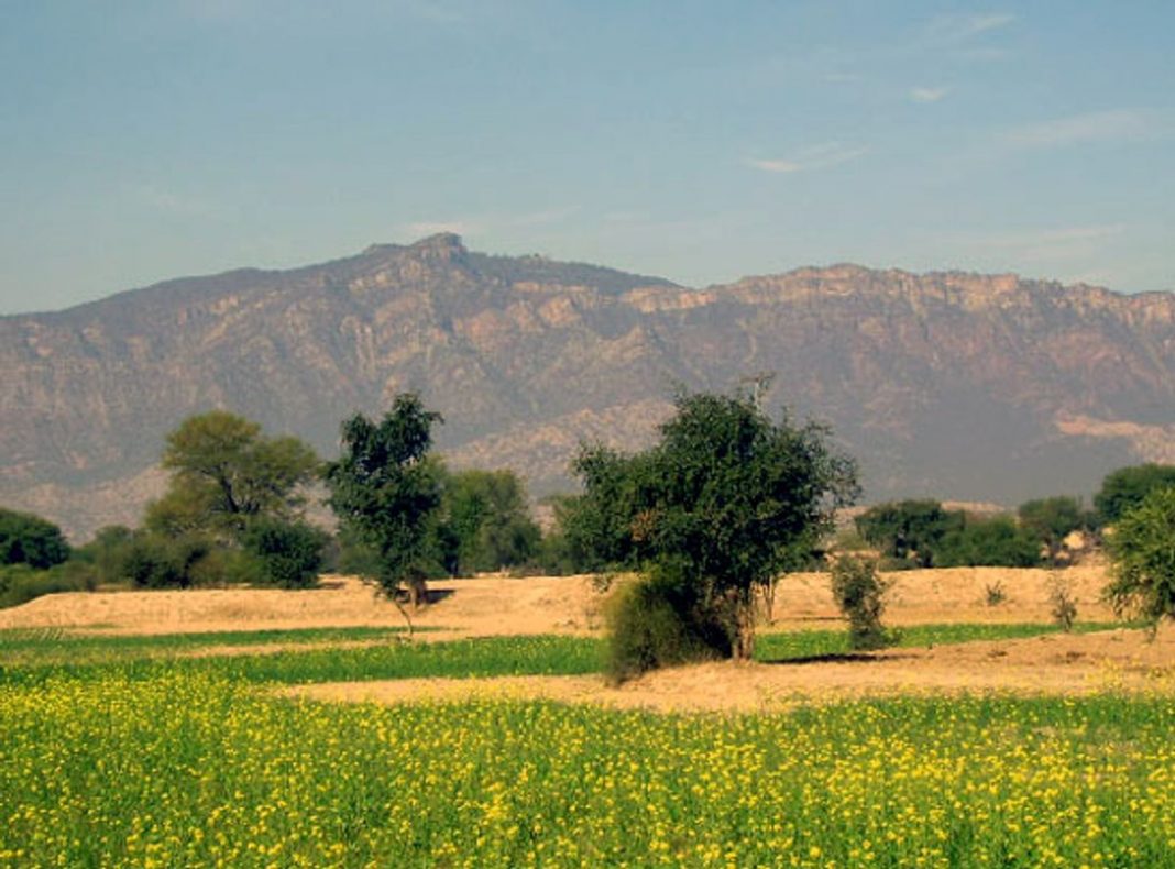 geographical indication