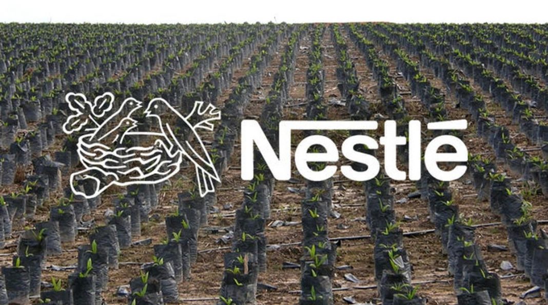 nestle greenhouse