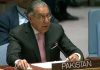 Pakistan Stands Firm Against Permanent UN Security Council Seats Expansion