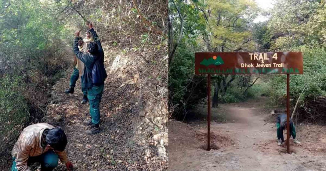 Margalla Hills trail-four