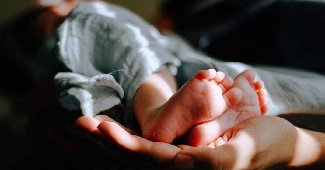 ten babies died in hospital