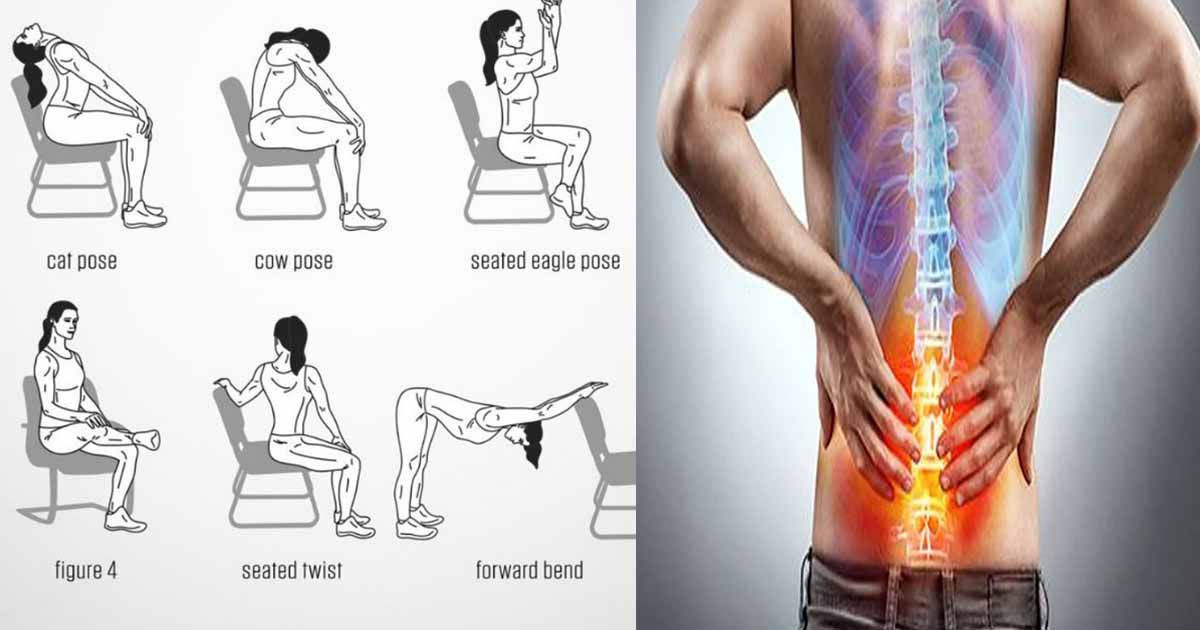 https://www.globalvillagespace.com/wp-content/uploads/2021/01/What-Exercises-Work-Best-for-Lower-Back-Pain.jpg