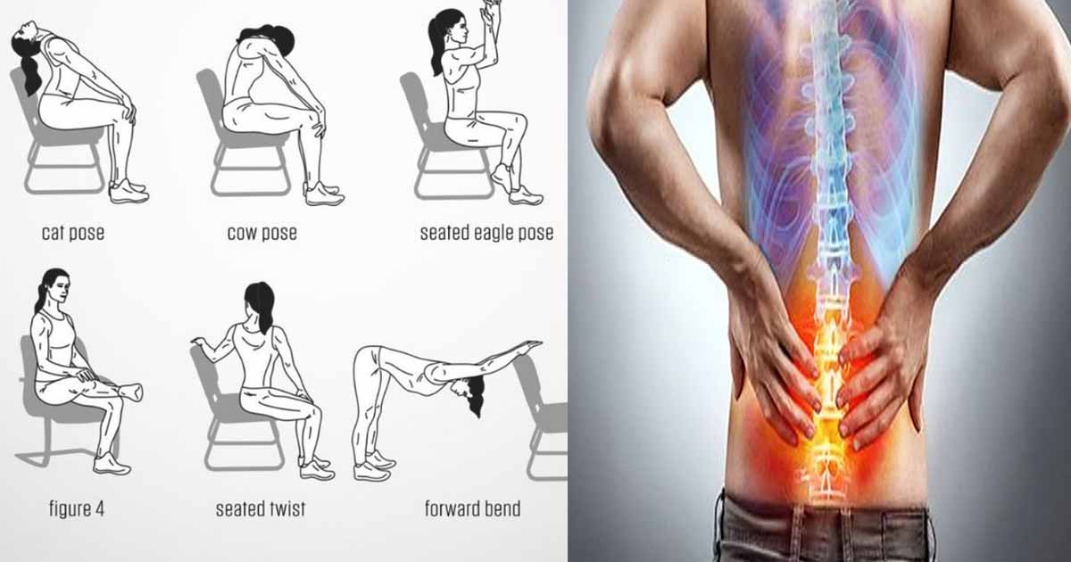 Exercises for Lower Back Pain Relief