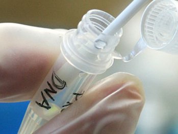 DNA Evidence in rape cases