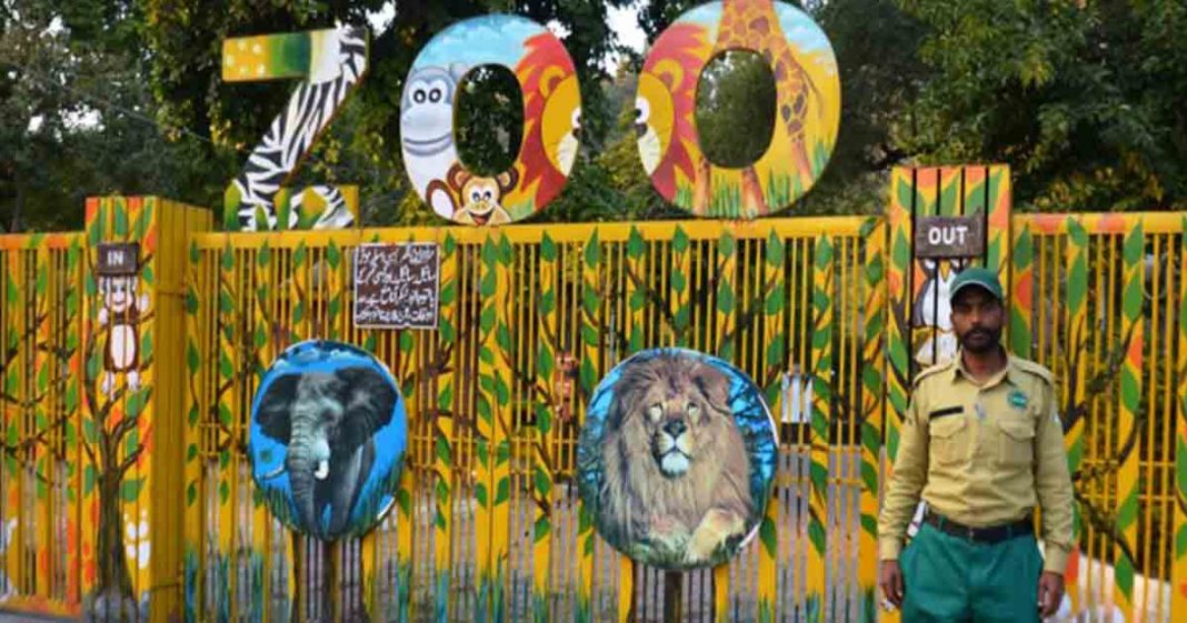 Pakistan zoo makeover