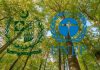Pakistan to host World Environment Day 2021