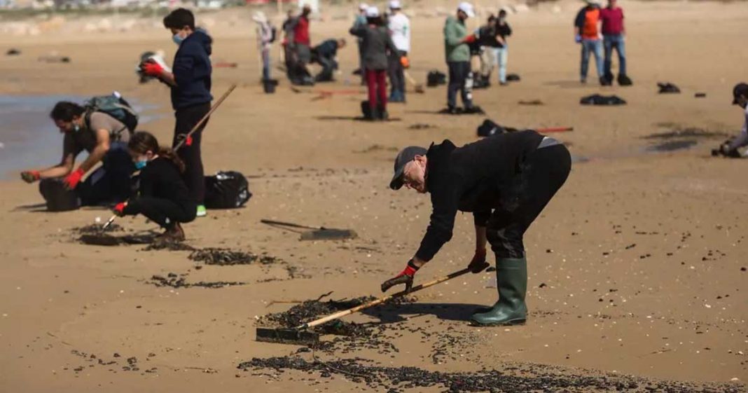 environmental terrorism