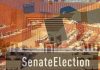Senate elections secret ballots