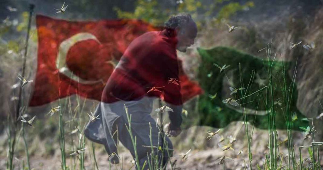 Turkey locust fight technology