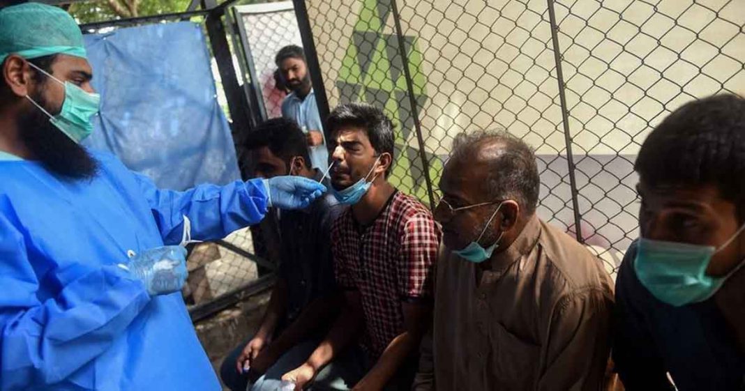 Pakistan covid-19 positivity rate