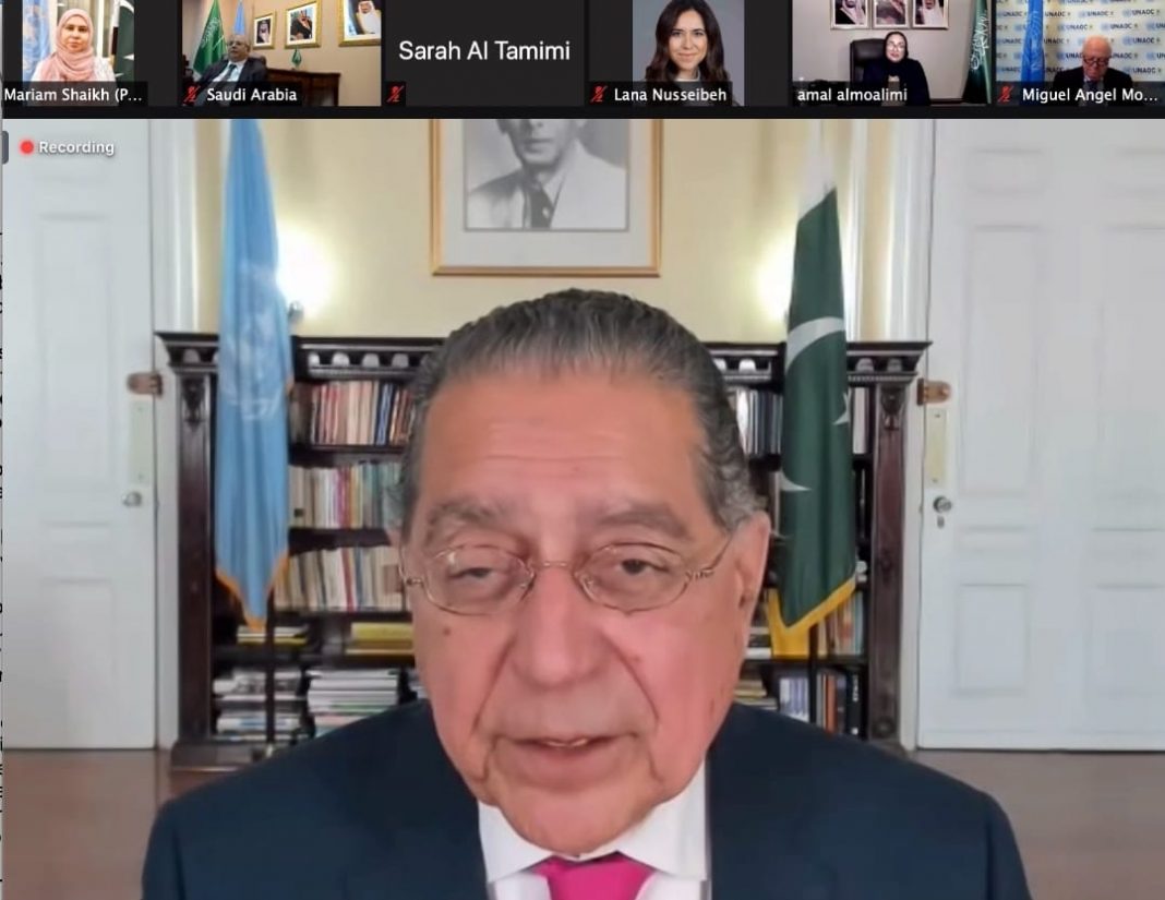 Munir Akram and Saudi Arabia