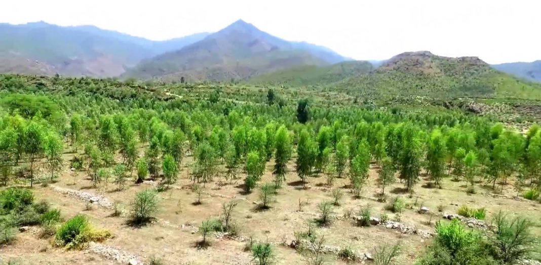 government and chitral