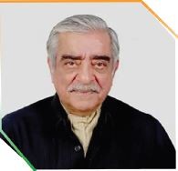 Indo-Pak peace terms