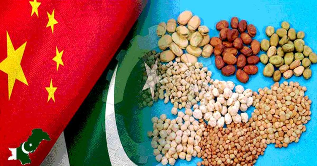 Pak-China soybean cooperation