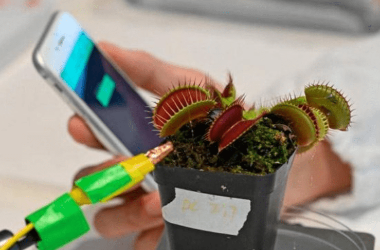 plants and technology