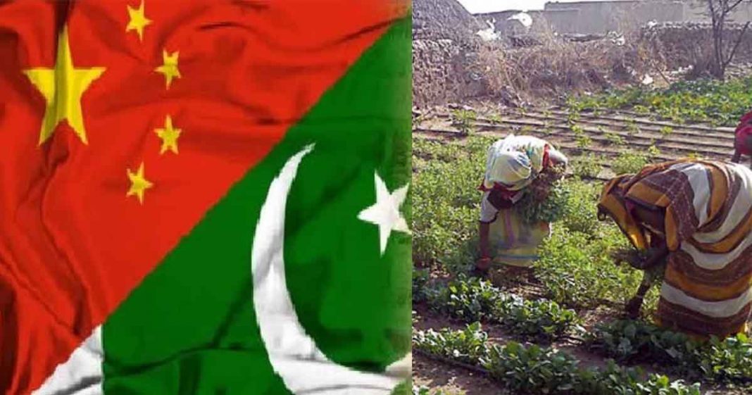 Pak-China irrigation cooperation