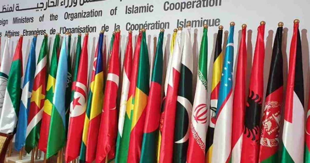 ummah Palestine issue