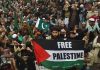 Palestine solidarity day