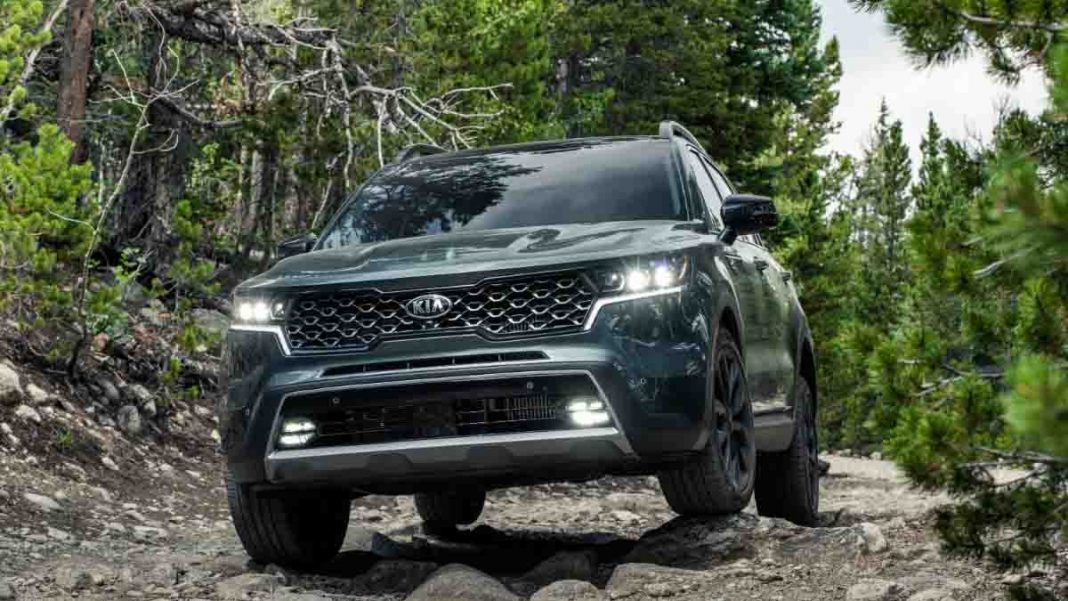 KIA Sorento in the jungle