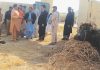 schools in Sindh converted animal pens