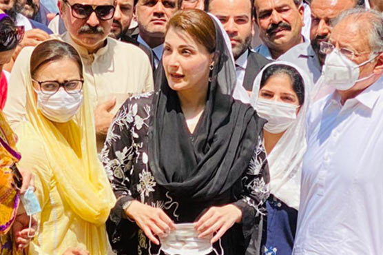 Maryam Nawaz PMLN worker