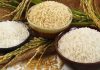 Rice Export Ban in India Sparks Inflation Concerns