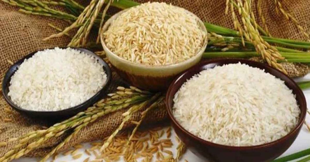 Rice Export Ban in India Sparks Inflation Concerns