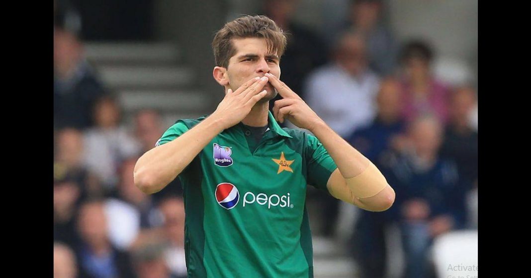 Shoaib Akhtar Shaheen Shah