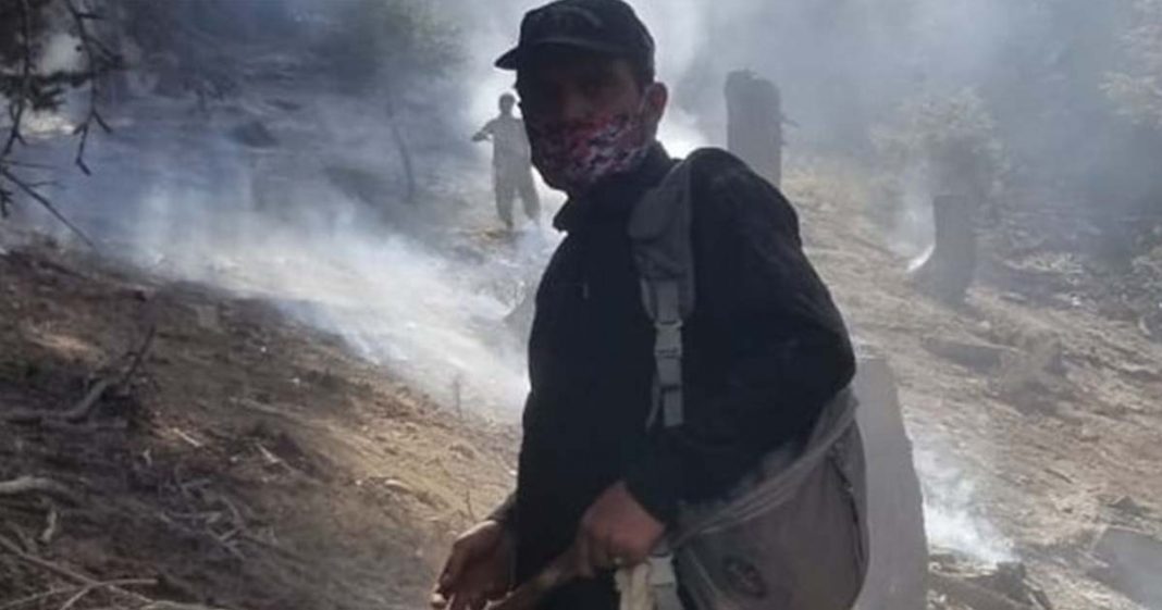 Chitral’s forest fire