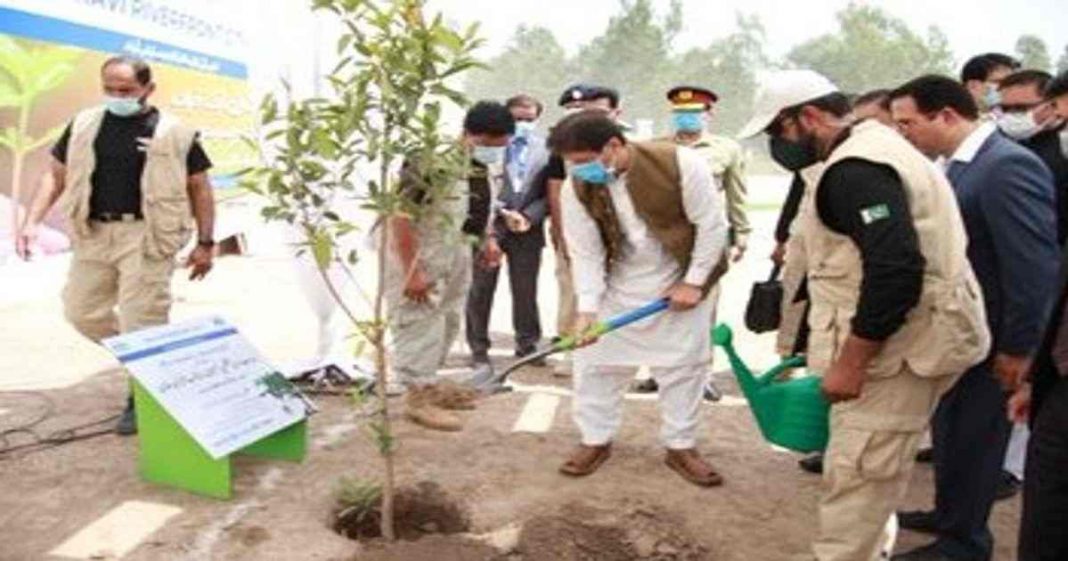 Pakistan’s first smart forest