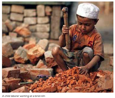 Pakistan Population Crisis