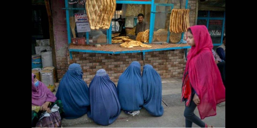 Afghan women activists plead for basic rights as women are forced to beg for bread