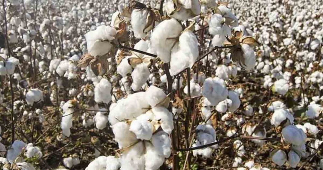 Pakistan's textile industry