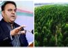 Fawad Chaudhry tree tsunami