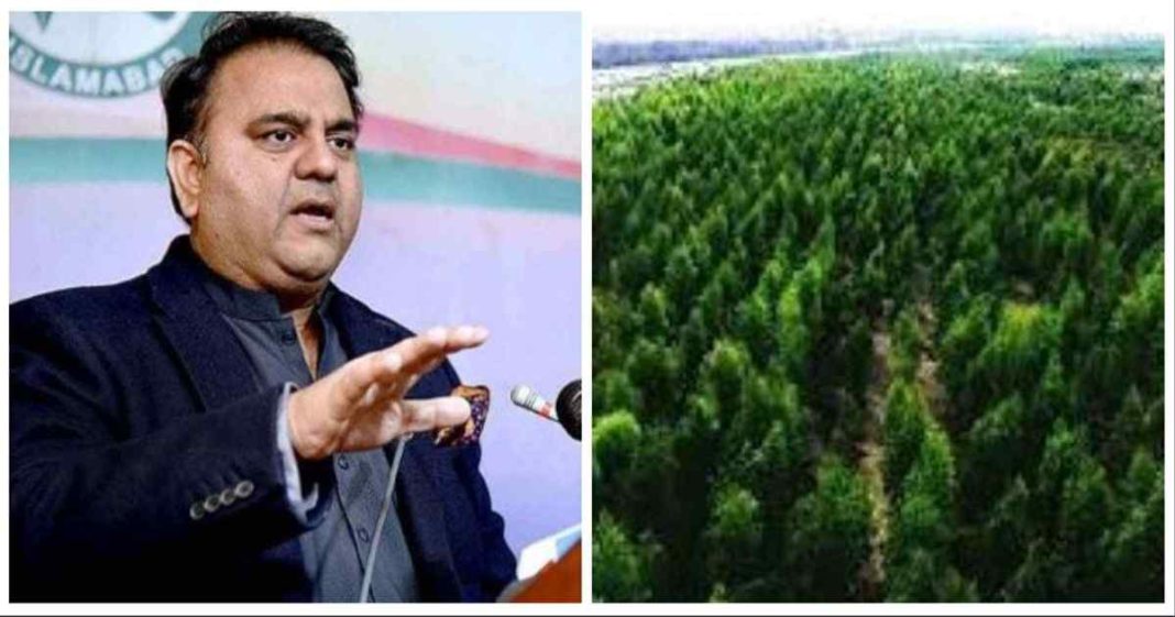 Fawad Chaudhry tree tsunami