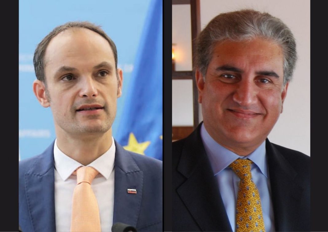 FM Qureshi Slovenia EU Pakistan Afghanistan