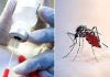 Mosquitoes and vaccines