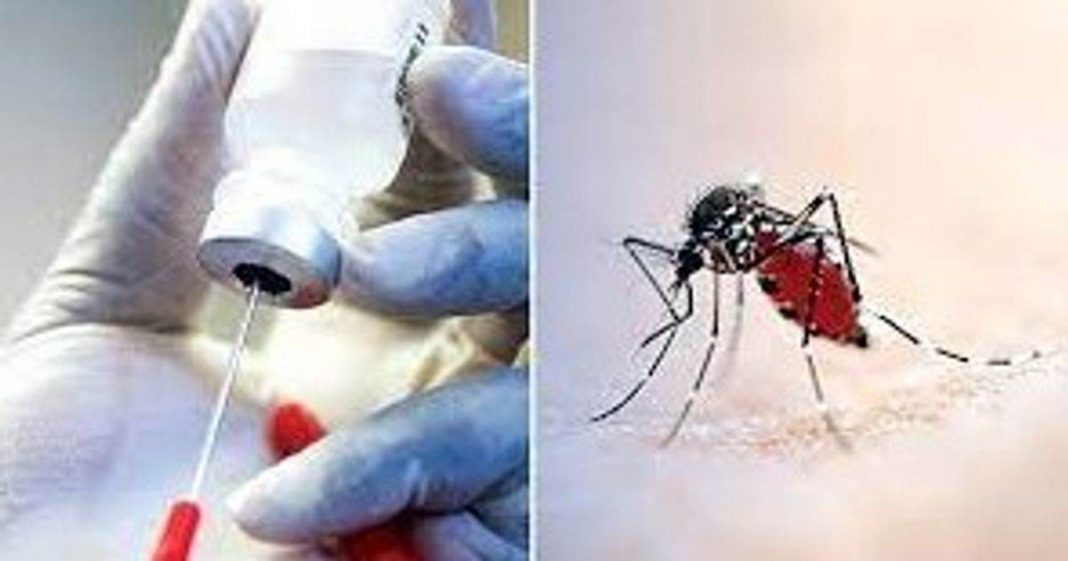 Mosquitoes and vaccines