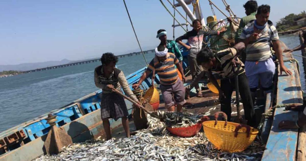 WTO fishing proposal