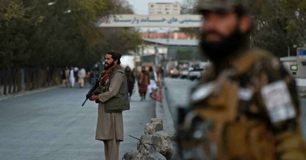 Taliban commander killed