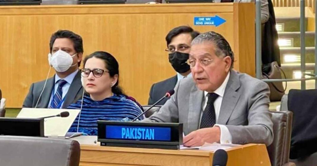 UNGA adopts Pakistan draft