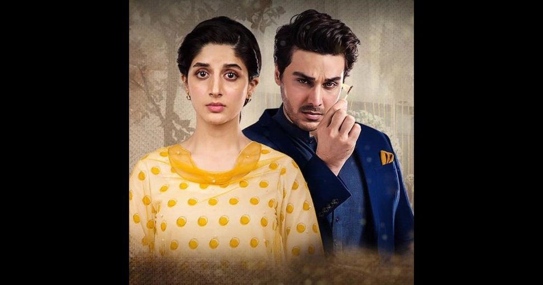 Mawra Hocane marital rape