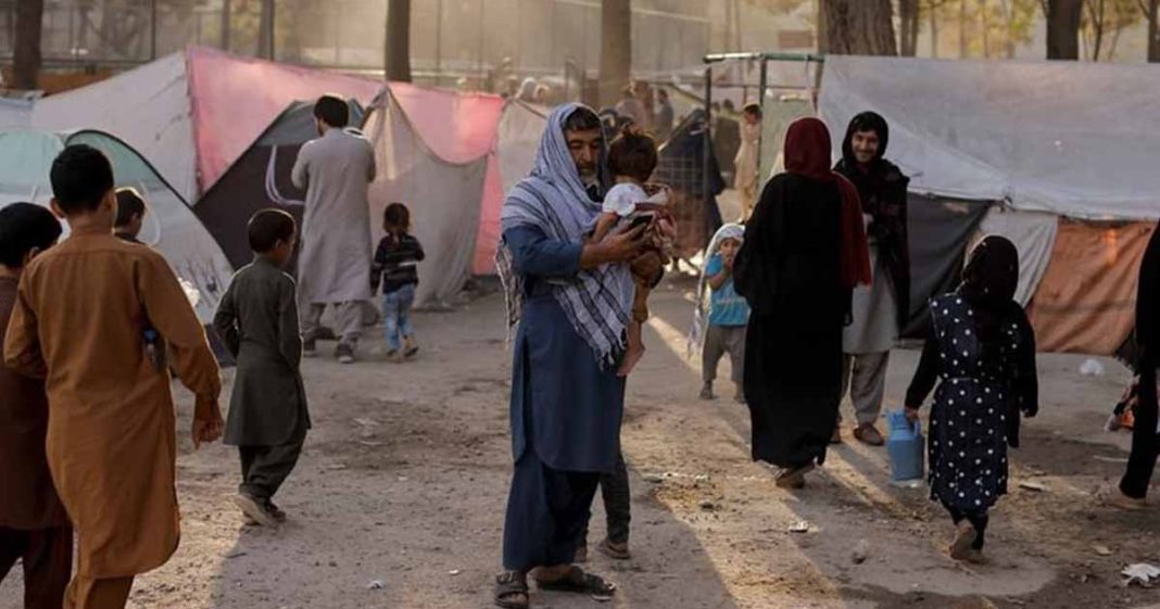 Taliban seeking foreign aid