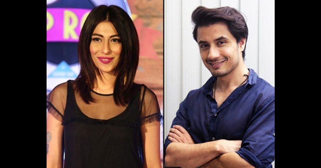 Meesha Shafi felt harassed