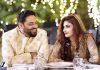 Aamir Liaquat marriage