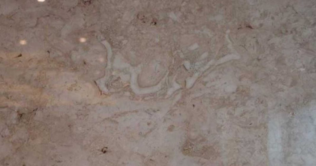 Bismillah marble found