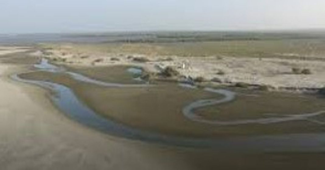 Bundal protected forest