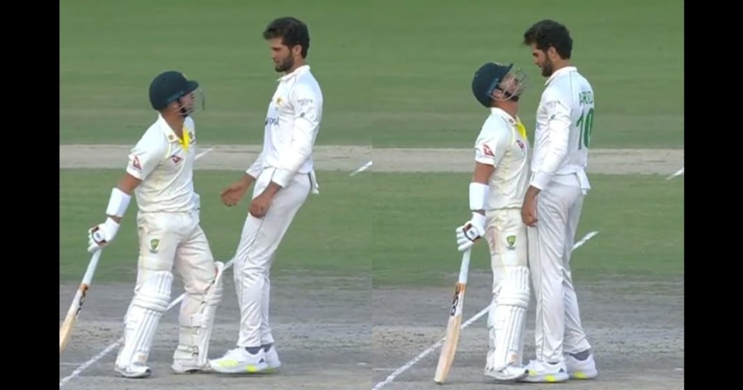 Shaheen Shah David Warner