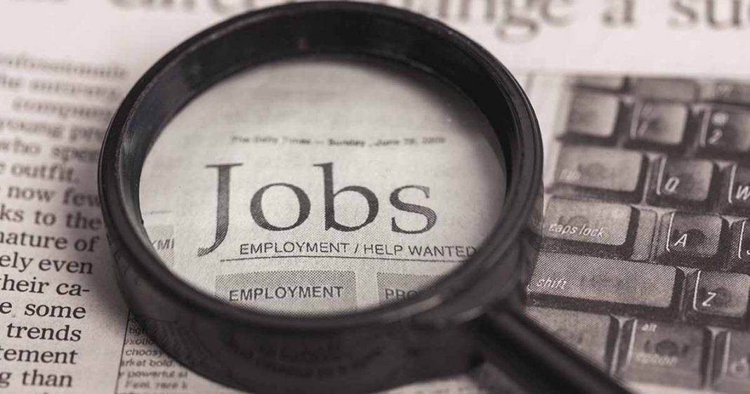 PTI government created jobs