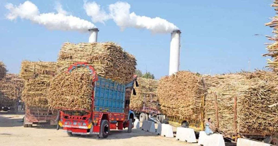 Sugar production in Pakistan